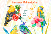 60% OFF TROPICAL SET, an Illustration by Elizaveta (Thumbnail 6 of 9)