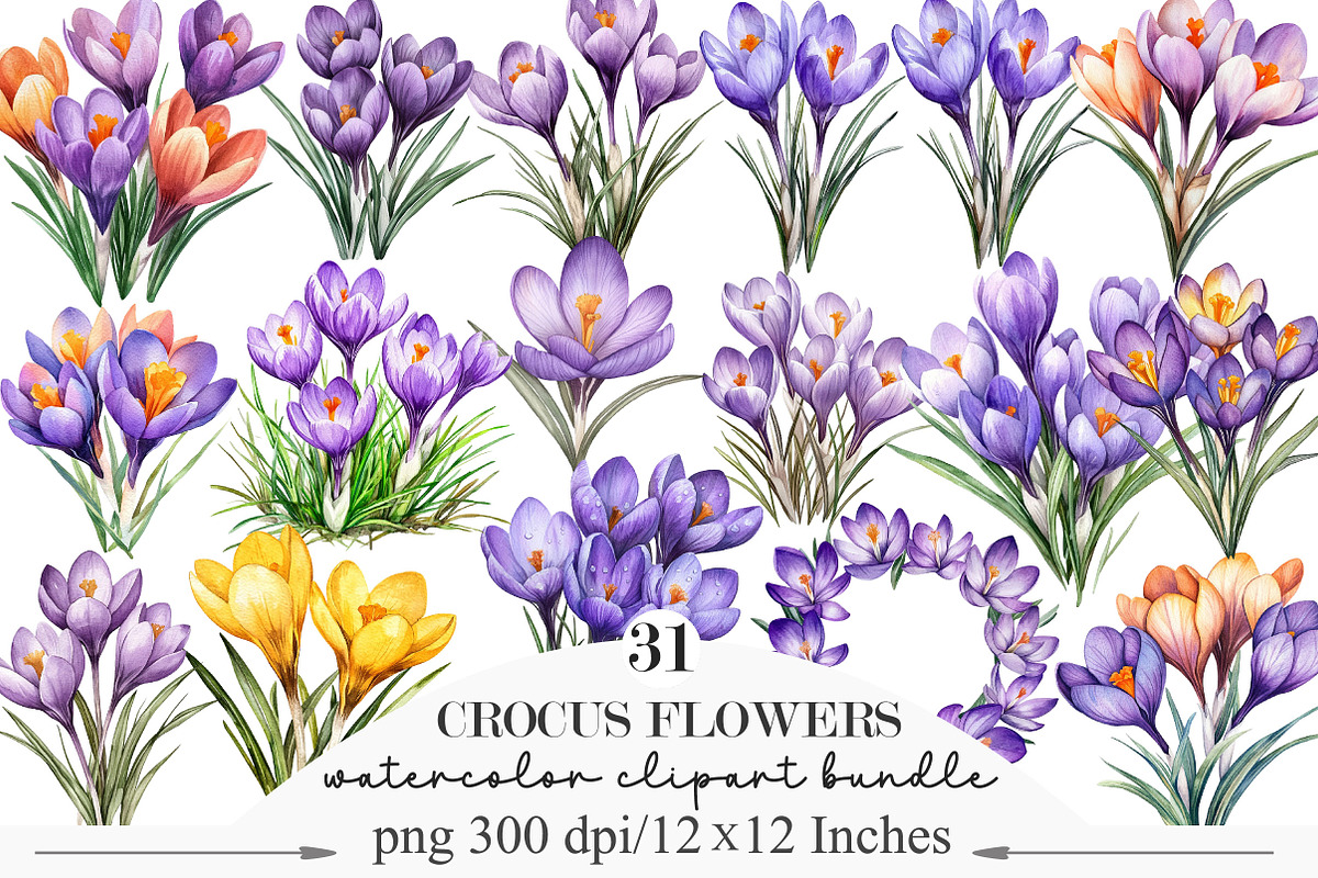 Watercolor Crocus Flowers Clipart, an Illustration by Designking (Photo 1 of 5)