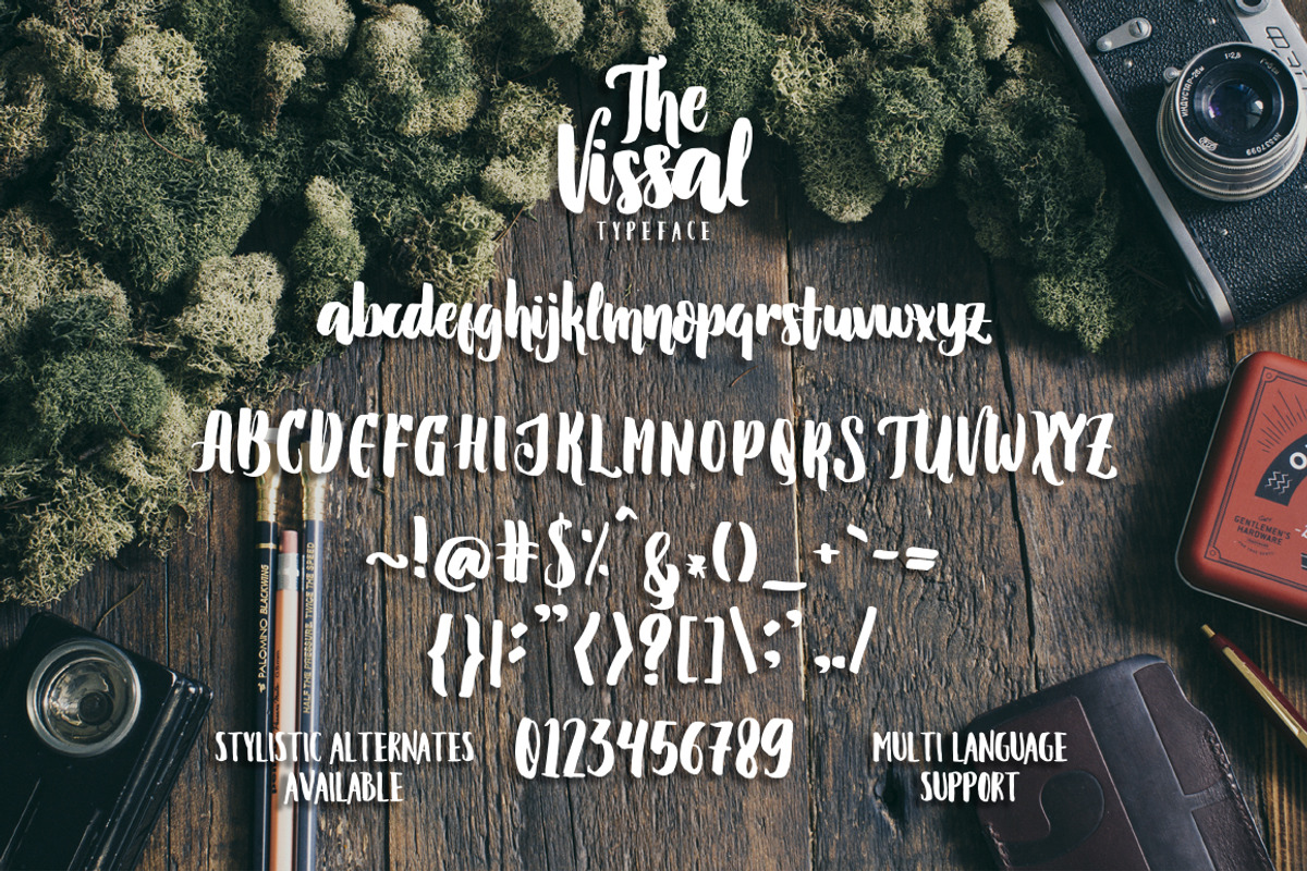 The Vissal script brush logo font preview 6