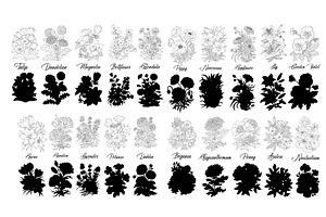 Big Set Of Vector Hand Drawn Flowers