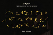 Bagler - Ornamental Display Font, a Serif Font by Ekahermawan (Thumbnail 11 of 13)