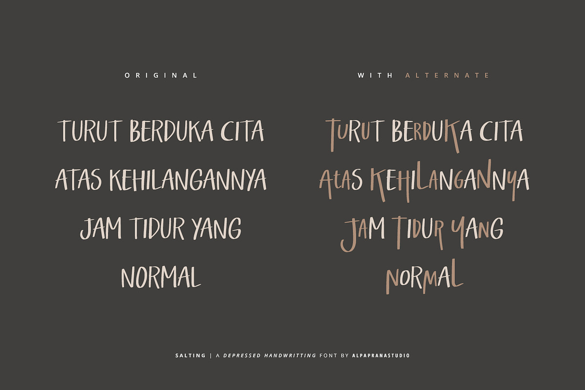 Salting - Handwritten Font, a Handwritten Font by Alpaprana (Photo 4 of 9)