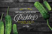 Pickle Vector - Botanic Specimens, an Object Graphic by Turning Moss (Thumbnail 1 of 4)