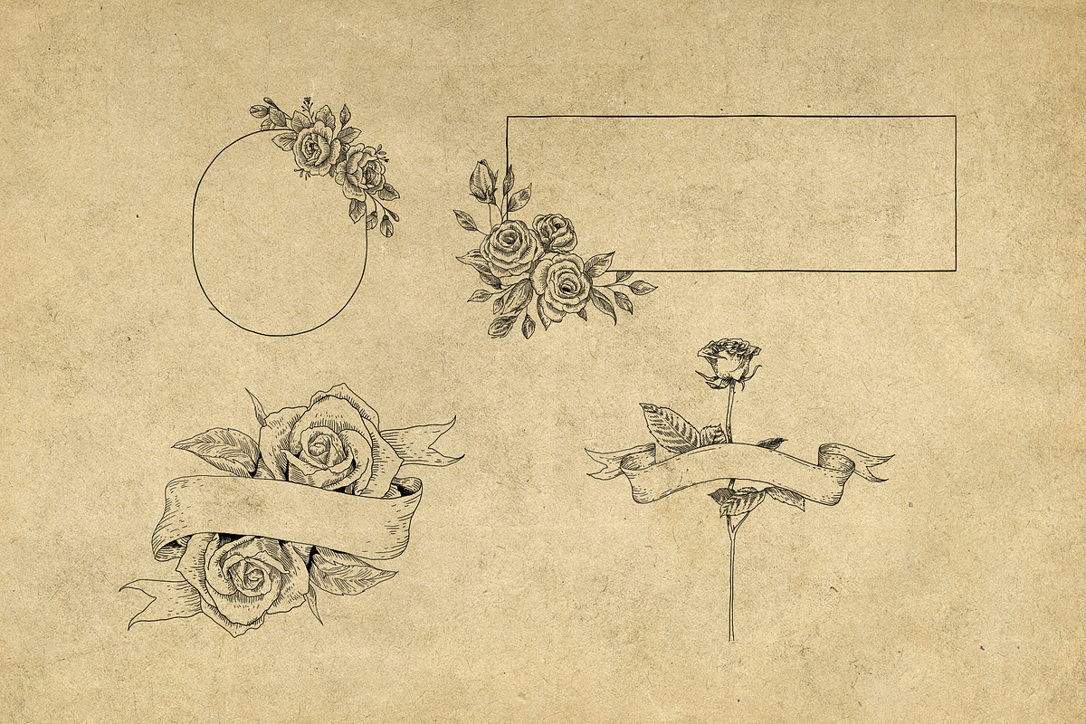 40 Vintage Floral Illustrations, an Illustration by Hatch Design Workshop (Photo 8 of 15)