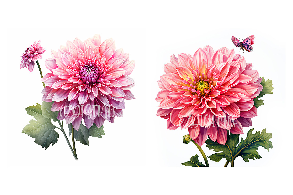 Dahlia Flower and Butterfly Clipart, an Object Graphic by EzDigitals (Photo 6 of 8)