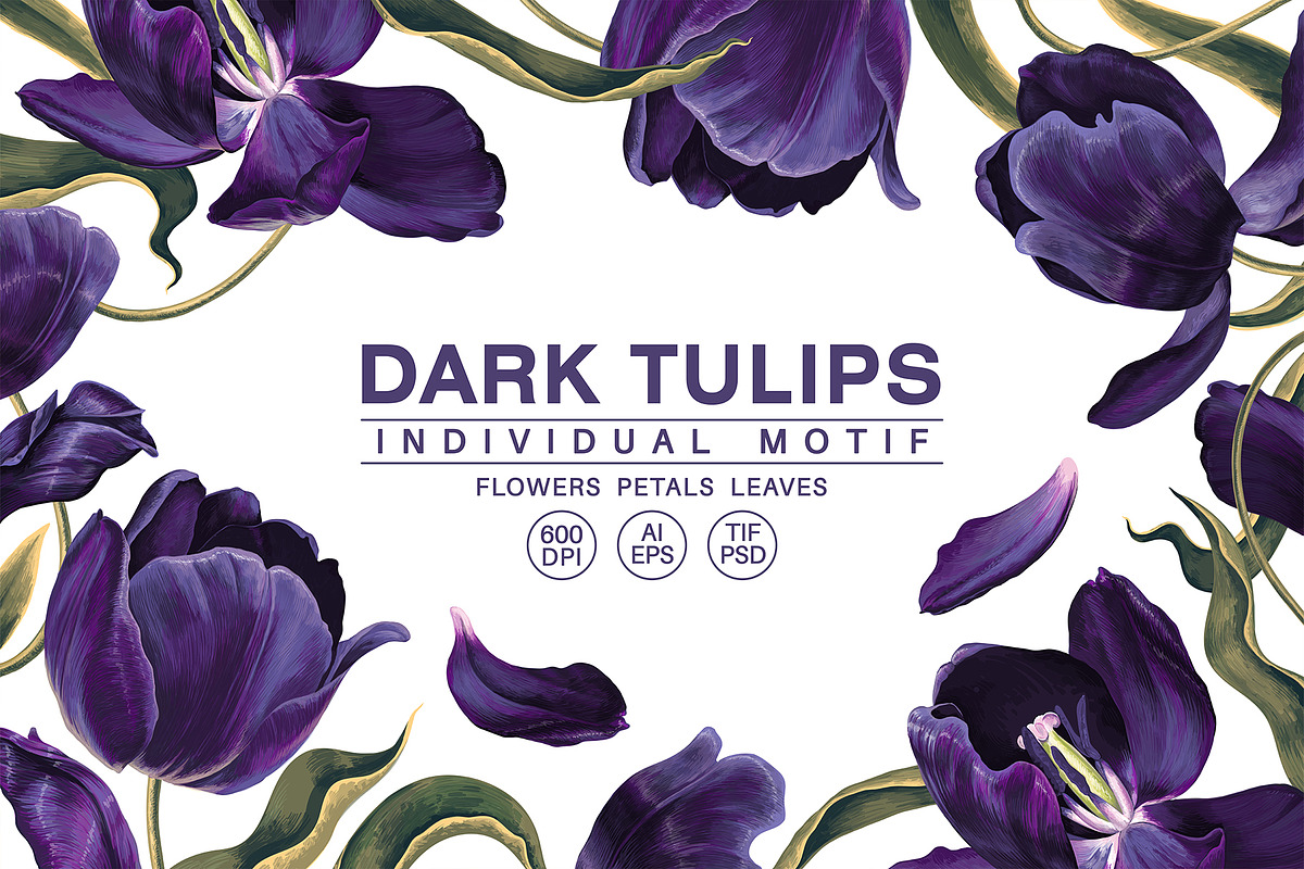 Dark Tulips Vector Set, a Background Graphic by MarynaPetrovska (Photo 1 of 13)