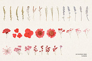 242 Vintage Dried Flowers, an Object Graphic by Ksuview (Thumbnail 8 of 11)