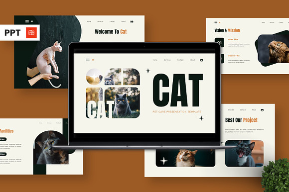 Cat - Pet Care Powerpoint preview 7