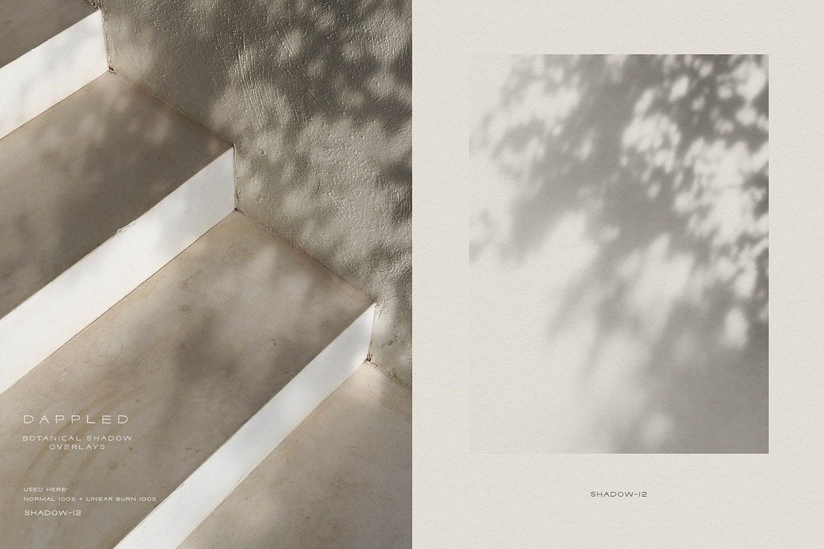 Dappled - Botanical Shadow Overlays, a Texture Graphic by alonahaidash (Photo 7 of 16)