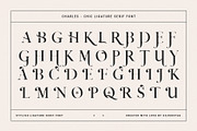Charles - Chic Ligature Serif Font, a Serif Font by SilverStag Type Foundry (Thumbnail 28 of 31)