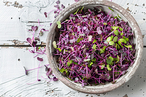 Fresh purple radish microgreen in bowl on wooden table, a Food & Drink Photo by AlyaAnd