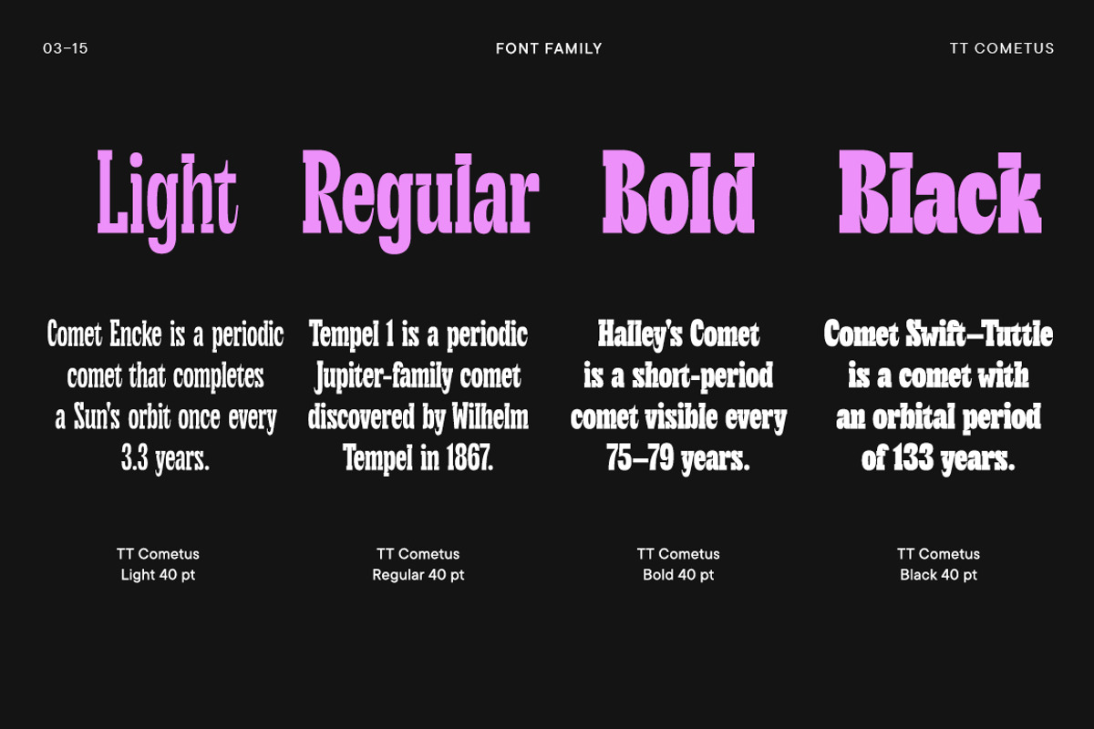 TT Cometus, a Sans Serif Font by TypeType (Photo 3 of 15)