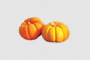 2 Pumpkins, side-view