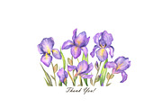Watercolor Iris flower clipart, an Illustration by OlDm_Shop (Thumbnail 5 of 5)