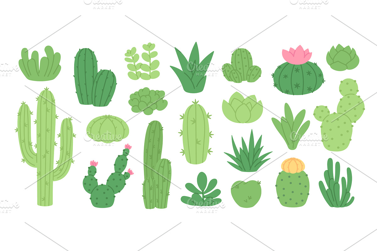 Cartoon succulents. Cactus and, an Object Illustration by LadadikArt