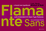 Flamante Sans -8 fonts-, a Sans Serif Font by deFharo (Thumbnail 3 of 7)