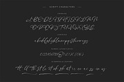 March & Amorist - Elegant Font Duo, a Serif Font by ClevUs (Thumbnail 12 of 13)
