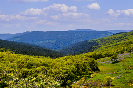 Mountain Daytime View, a Nature Photo by Jillian Butolph