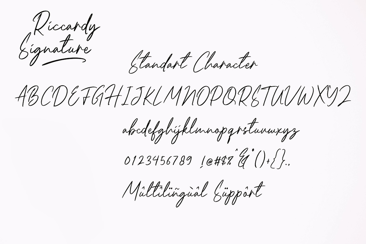 Riccardy Signature Font, a Handwritten Font by Art StoreID (Photo 11 of 15)