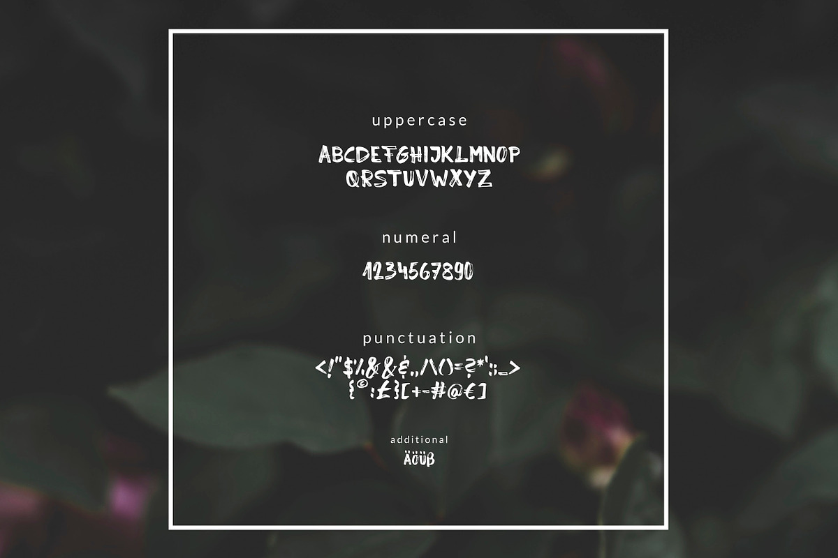 Reafon. Brush Font preview 2