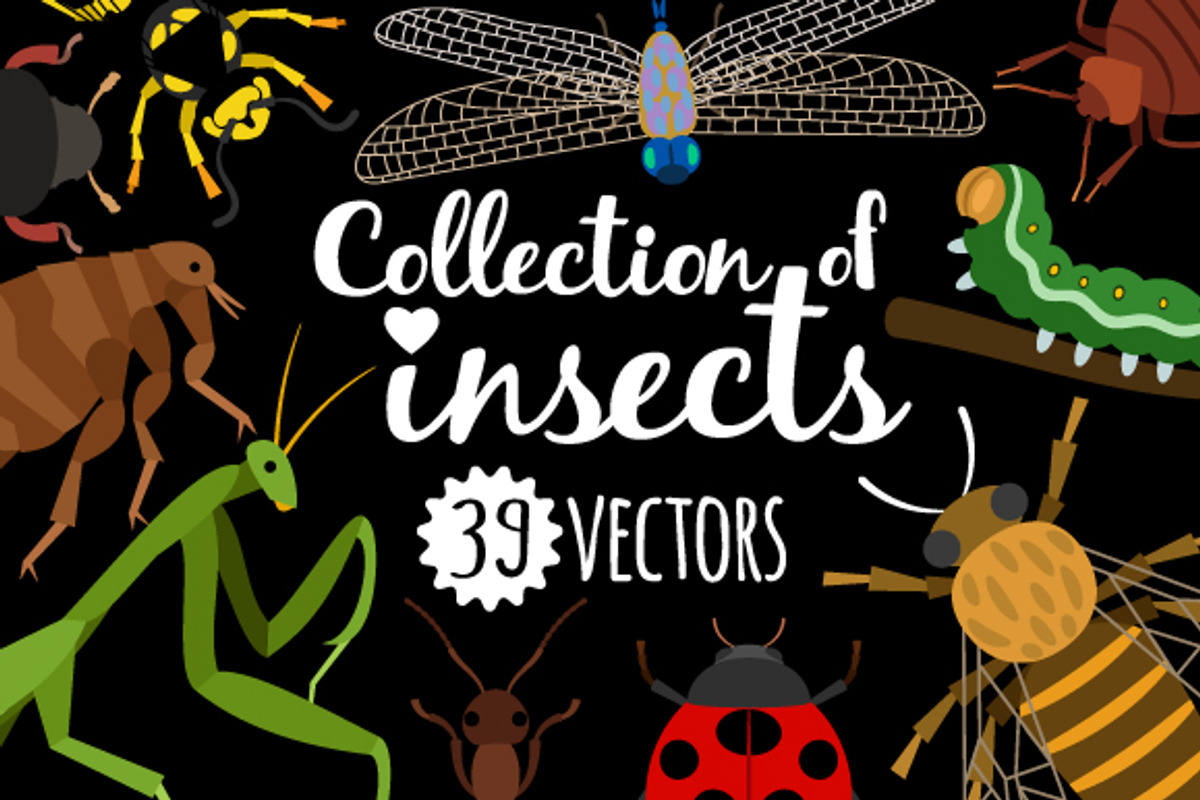 Insects, an Object Graphic by ianakauri (Photo 1 of 4)