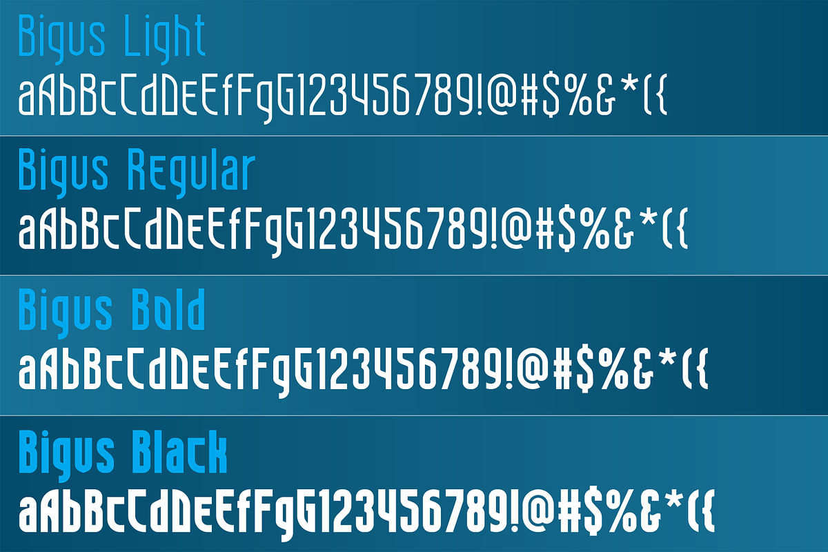 Bigus font family, a Sans Serif Font by vlad.berla (Photo 3 of 7)