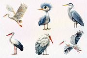 White Stork Clipart, Heron Clipart, an Illustration by CreationArt (Thumbnail 4 of 9)