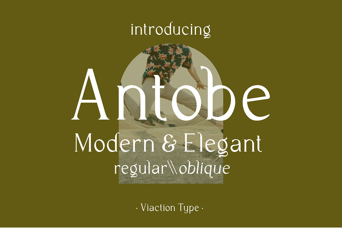 VT Antobe - Modern Serif, a Serif Font by ViactionType (Photo 1 of 12)