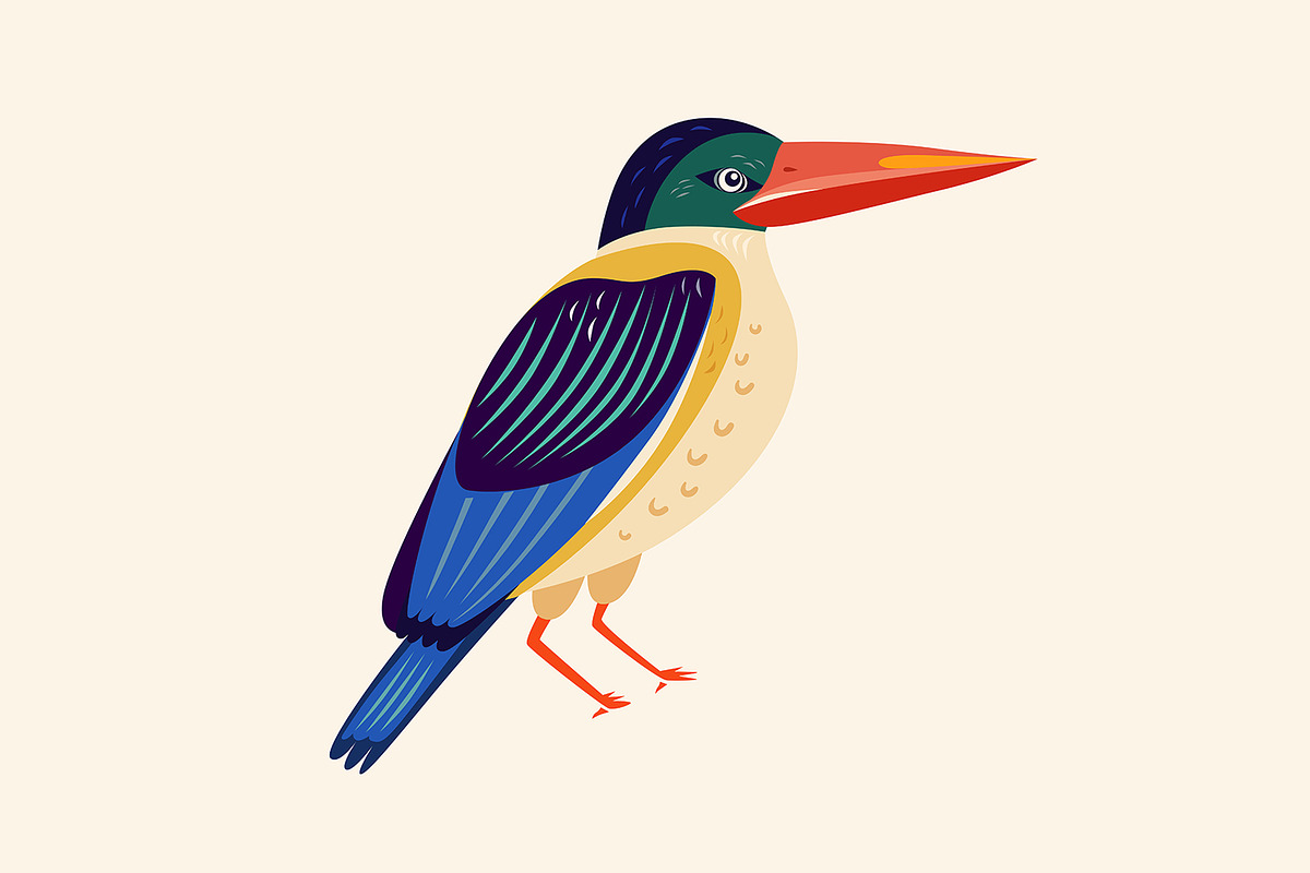 Tropical nature, an Animal Illustration by MoleskoStudio (Photo 7 of 8)