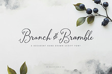 Branch & Bramble Calligraphy Font