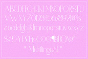 Polyglot - Typeface, a Serif Font by MJtypefoundry (Thumbnail 3 of 13)
