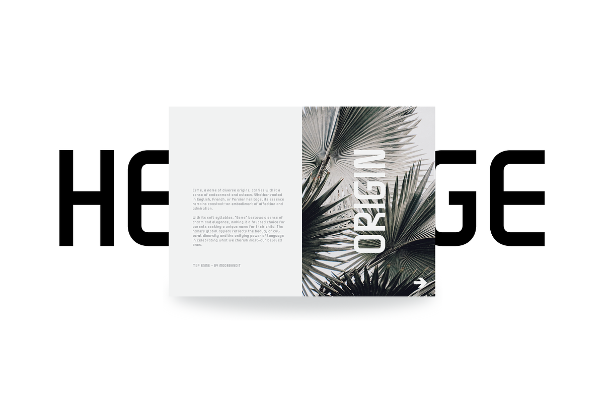 MBF Esme - Condensed Techno, a Sans Serif Font by MoonBandit (Photo 5 of 6)