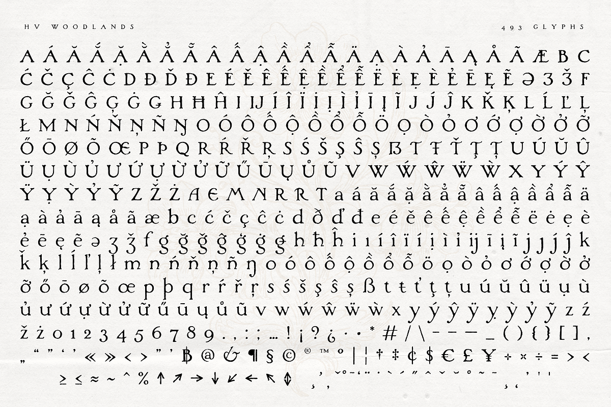 Woodlands - Vintage Hand-painted, a Serif Font by Harmonais Visual (Photo 23 of 23)