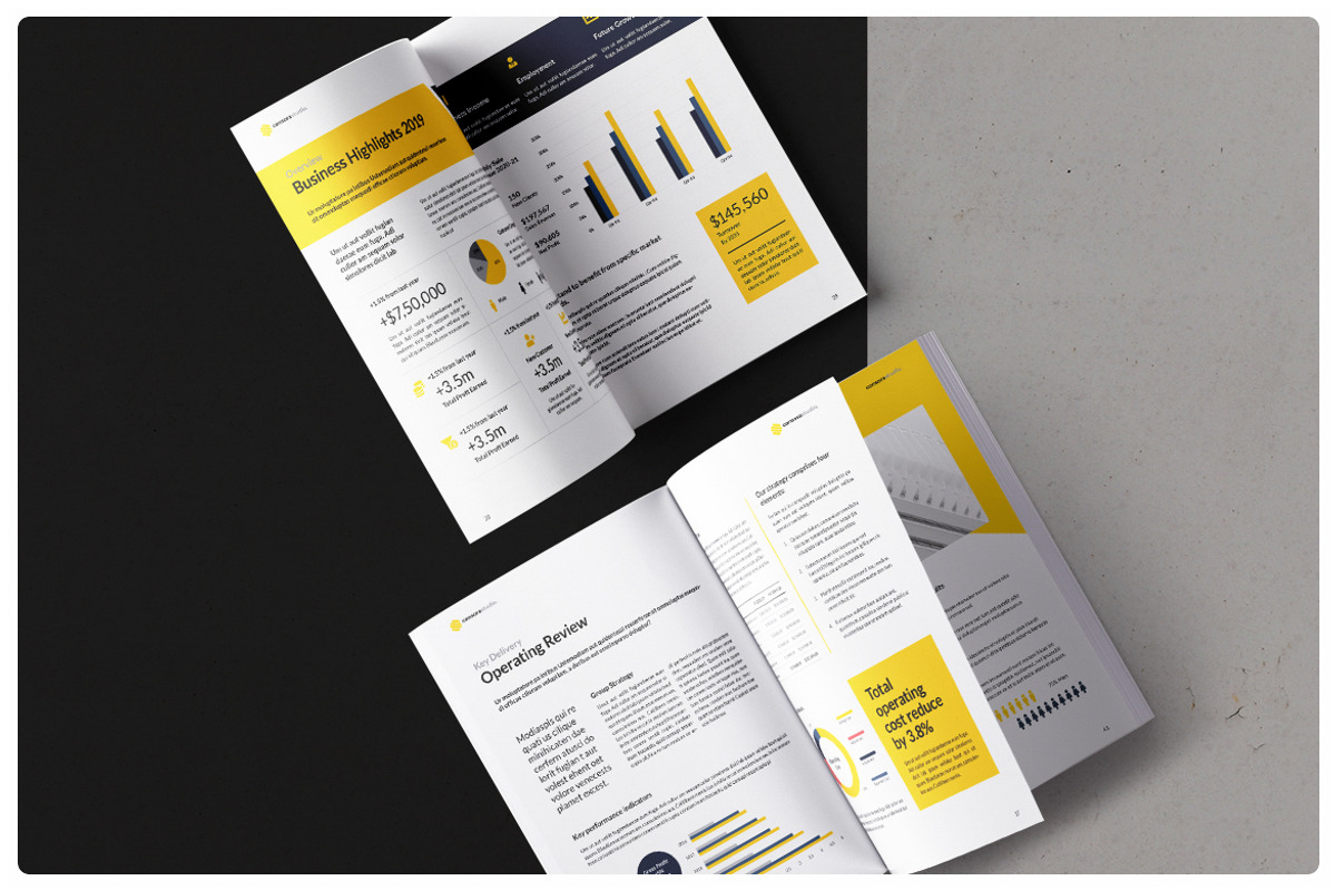 Annual Report, a Brochure Template by StudioGraficso (Photo 5 of 12)