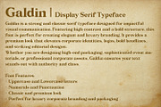 Galdin - Serif Font, a Serif Font by OWPictures (Thumbnail 9 of 10)