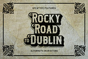 Dublin Typeface, a Serif Font by Twicolabs Fontdation (Thumbnail 3 of 5)