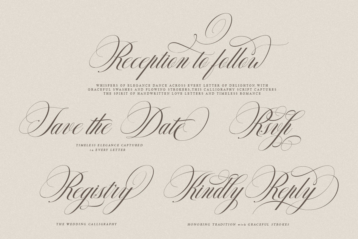 Delighton Script, a Script Font by Has_rizal (Photo 5 of 15)