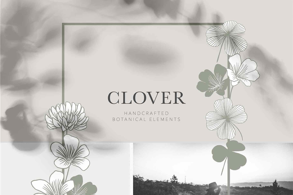 Clover Botanicals - Florals & Leaves, an Illustration by Momo Studio (Photo 4 of 12)