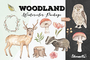 Watercolour Forest Deer Owl Foliage, an Animal Illustration by Bloomella (Thumbnail 1 of 4)