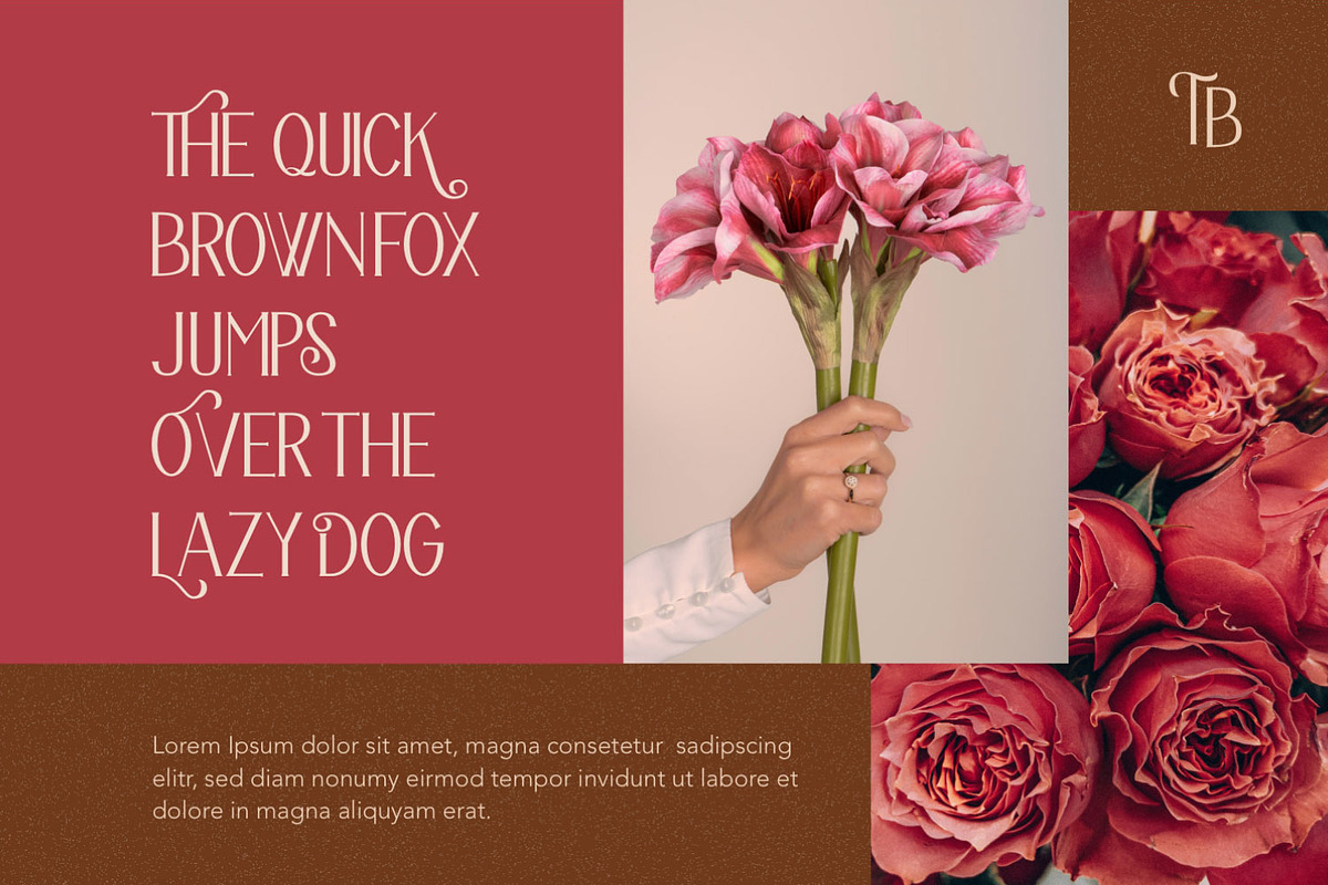 The Bravery, a Serif Font by Pollux of Geminorum (Photo 5 of 12)