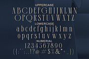 Demeris - Modern Refined Serif, a Serif Font by Qweera Studio (Thumbnail 9 of 12)