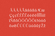 Quack Grandeur Serif Dislay Font, a Serif Font by UICreative (Thumbnail 10 of 13)