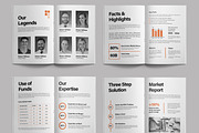 Business Whitepaper with Orange, a Brochure Template by ContestDesign (Thumbnail 4 of 4)