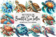Beautiful Sea Turtles PNG Bundle, an Illustration by DreamArtGraphic (Thumbnail 1 of 7)