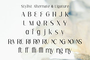 Serina - Modern Elegant Logo Font, a Sans Serif Font by roomspace creative lab (Thumbnail 8 of 11)