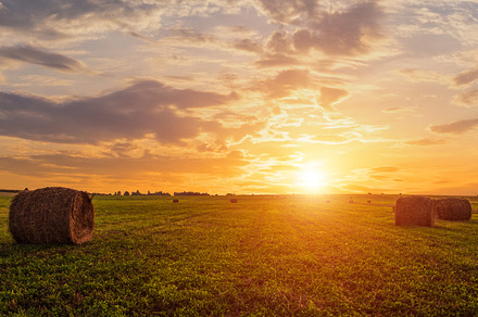 Golden sunset rolling field with hay bales. Panoramic farm lands, a Nature Photo by Eugene_Photo