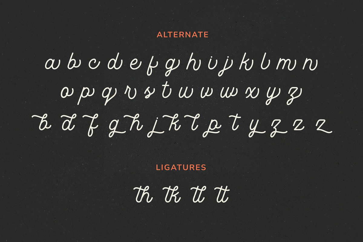 Rotterhead Monoline Vintage Font, a Script Font by Seagulls Creative (Photo 8 of 8)
