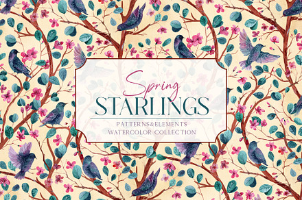 Watercolour Spring Starlings Set