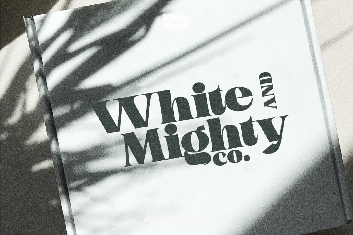 Ridie - Display Font, a Serif Font by dealitastudio (Photo 6 of 7)