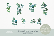 Eucalyptus wreath and branch clipart, an Illustration by michLg designs (Thumbnail 2 of 3)